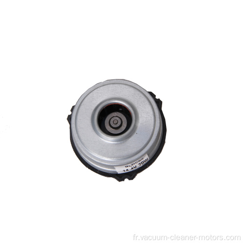 Aspirateur Bldc Moteur Sec